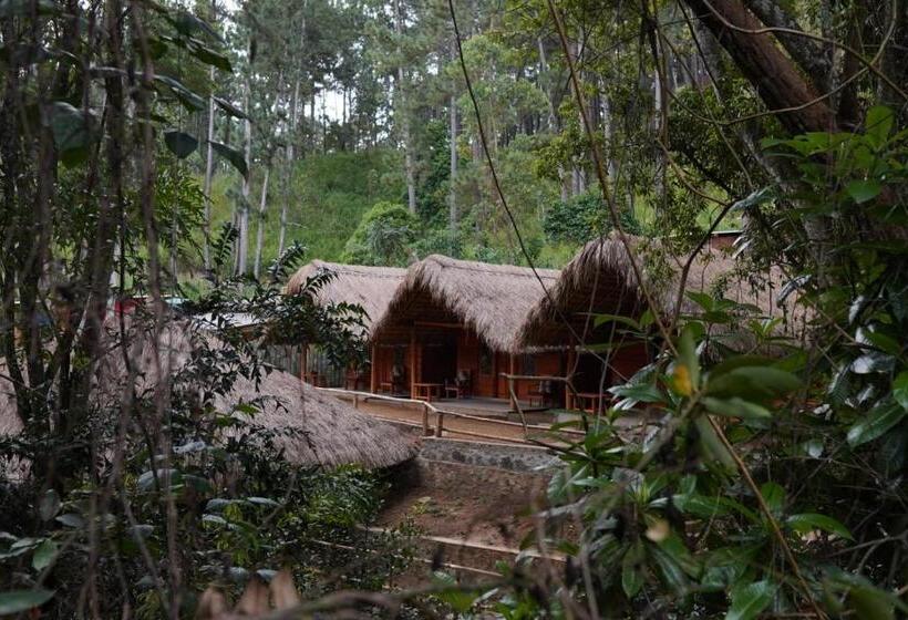 Resort Gaga Bees Ella