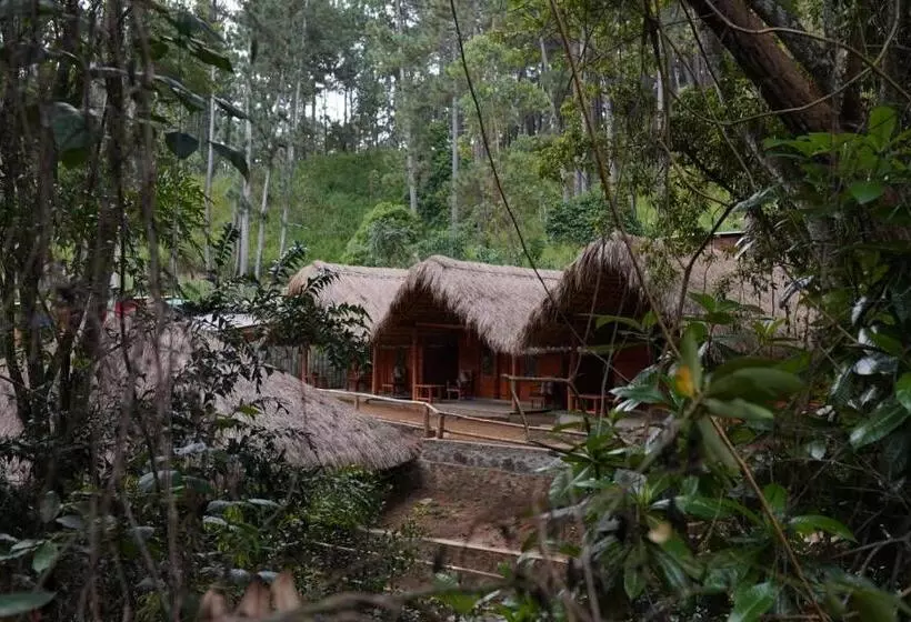 Lomakeskus Gaga Bees Ella