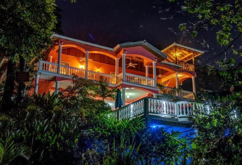 تختخواب و صبحانه Seaside Inn Roatan