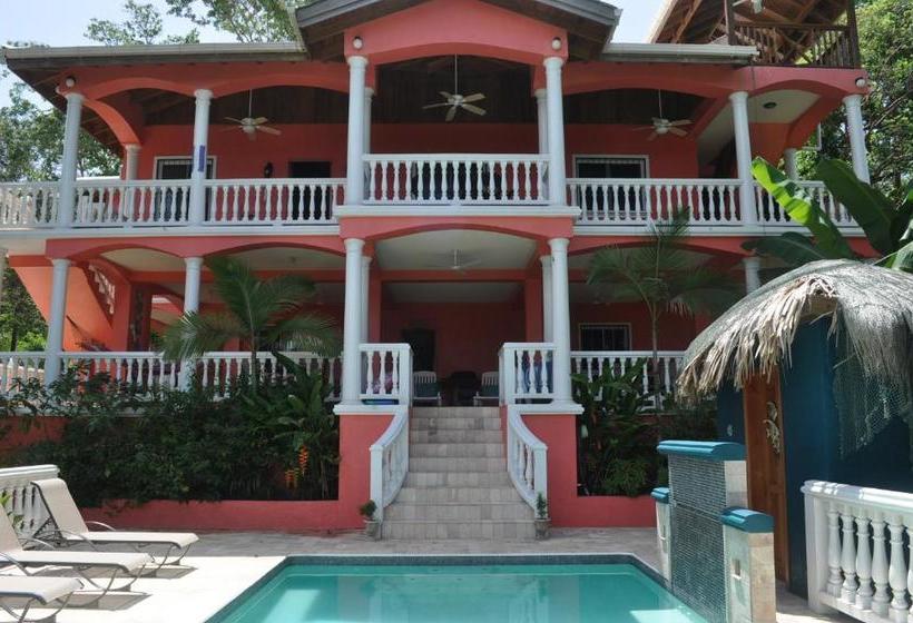 تختخواب و صبحانه Seaside Inn Roatan