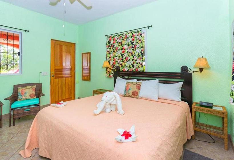 تختخواب و صبحانه Seaside Inn Roatan