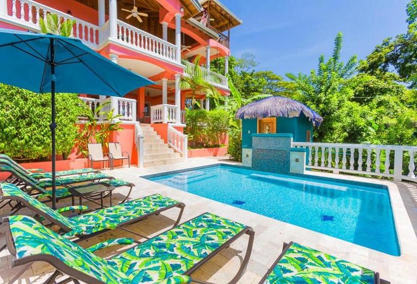 تختخواب و صبحانه Seaside Inn Roatan