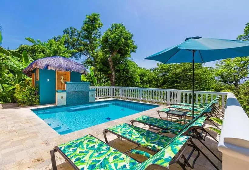 تختخواب و صبحانه Seaside Inn Roatan