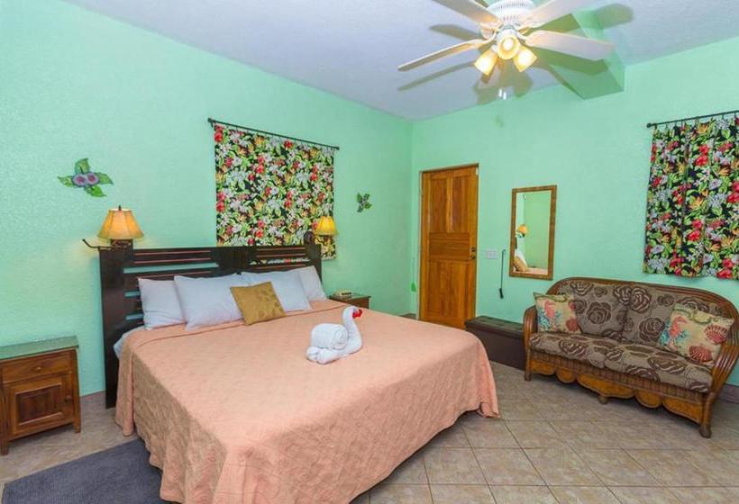 تختخواب و صبحانه Seaside Inn Roatan