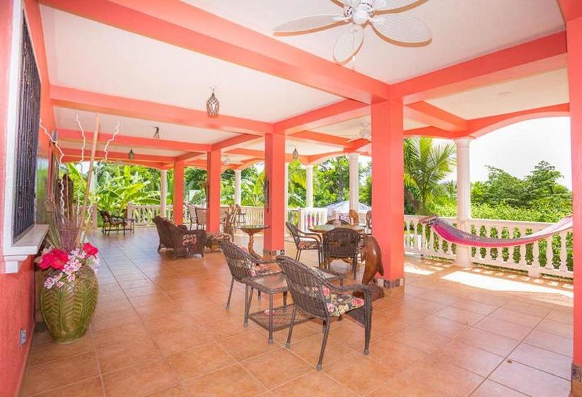 تختخواب و صبحانه Seaside Inn Roatan