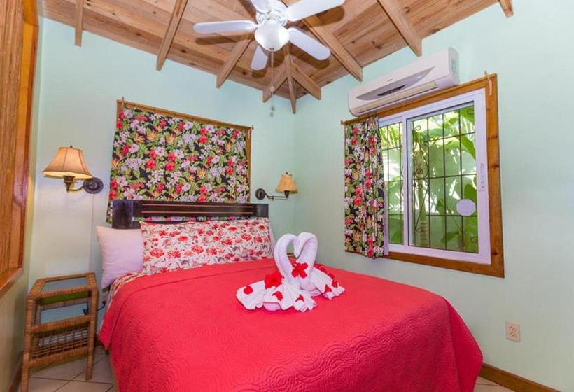 تختخواب و صبحانه Seaside Inn Roatan