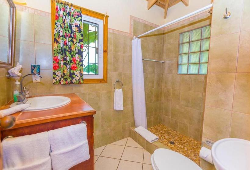 تختخواب و صبحانه Seaside Inn Roatan