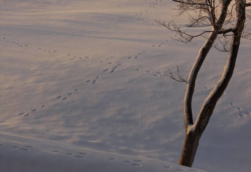 هتل Akakura Yours Inn