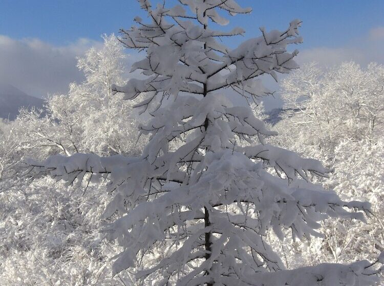 هتل Akakura Yours Inn