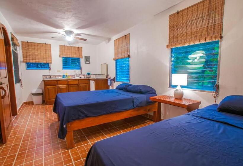 هتل Chillies And Native Sons Diving