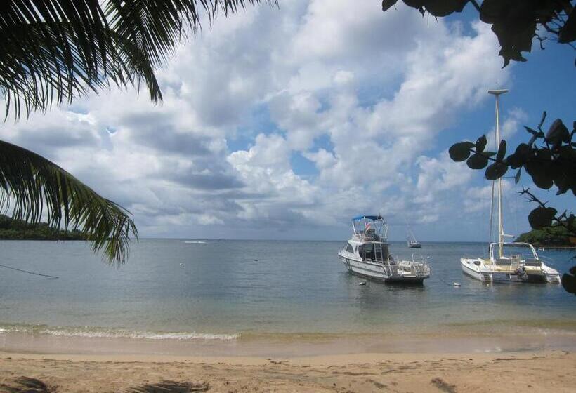 هتل Chillies And Native Sons Diving