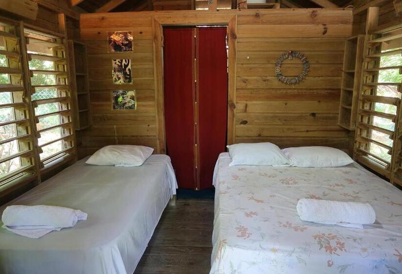 هتل Chillies And Native Sons Diving