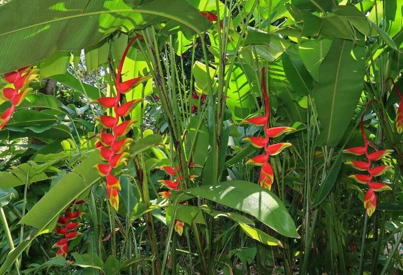 هتل Chillies And Native Sons Diving