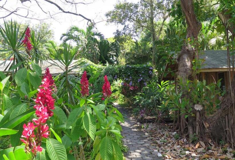 هتل Chillies And Native Sons Diving
