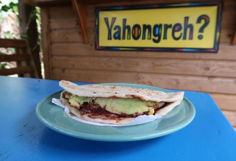 هتل Chillies And Native Sons Diving