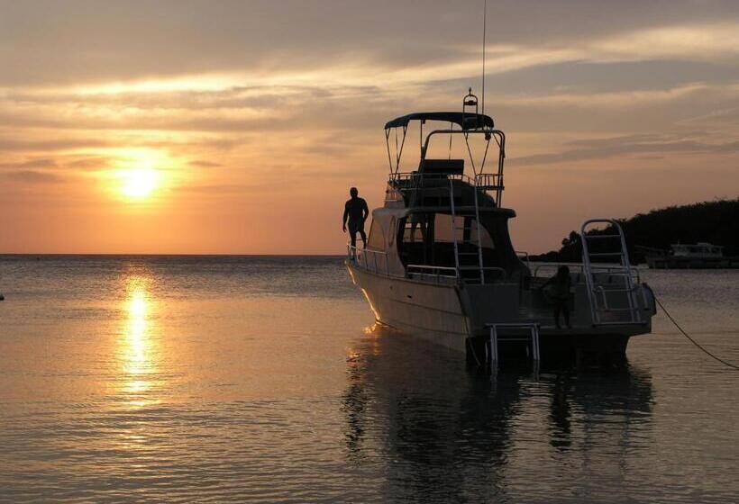 هتل Chillies And Native Sons Diving