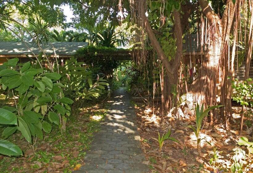 هتل Chillies And Native Sons Diving