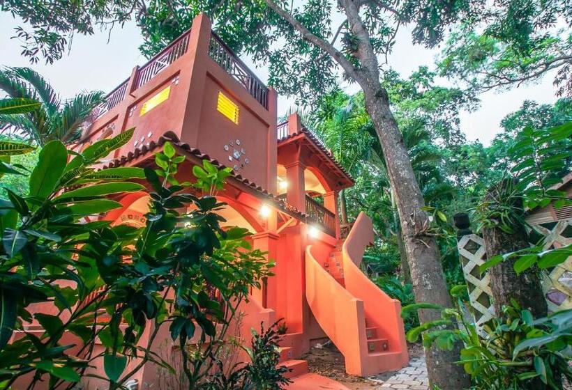 هتل Chillies And Native Sons Diving