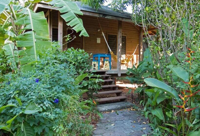 هتل Chillies And Native Sons Diving