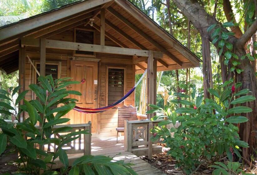 هتل Chillies And Native Sons Diving