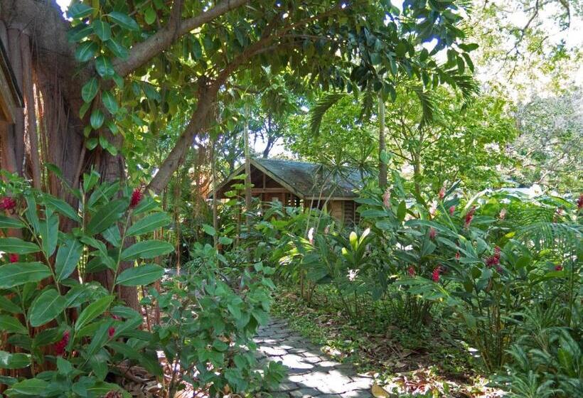 هتل Chillies And Native Sons Diving