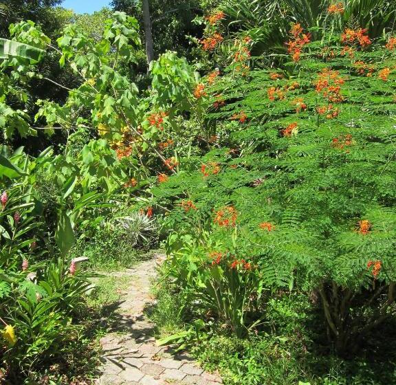 هتل Chillies And Native Sons Diving