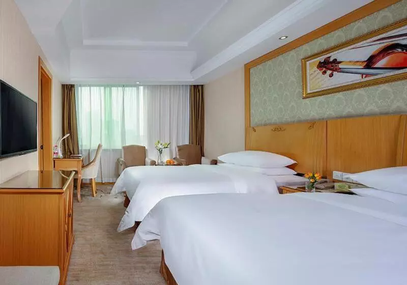 Vienna Hotel Yueyang Zhanqian Road