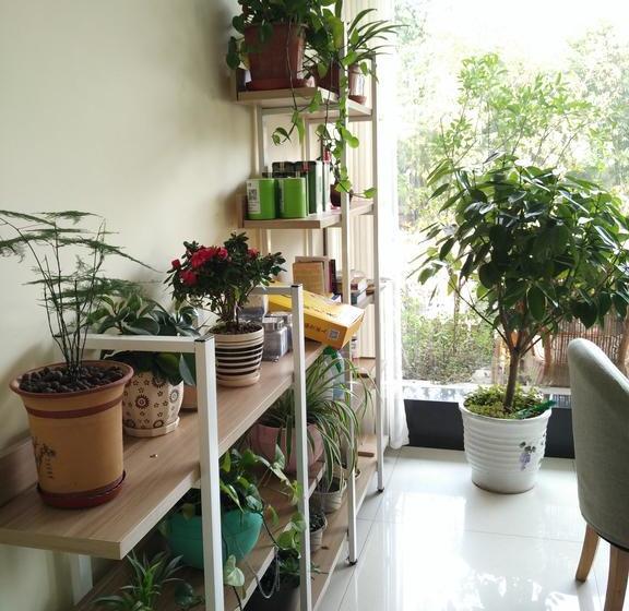 Wudang International Youth Hostel