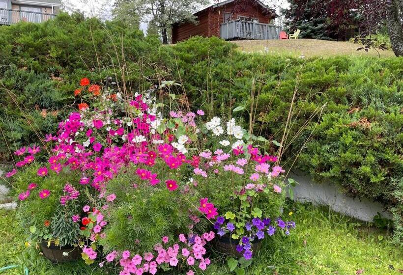 فندق صغير Dream Catcher Inn