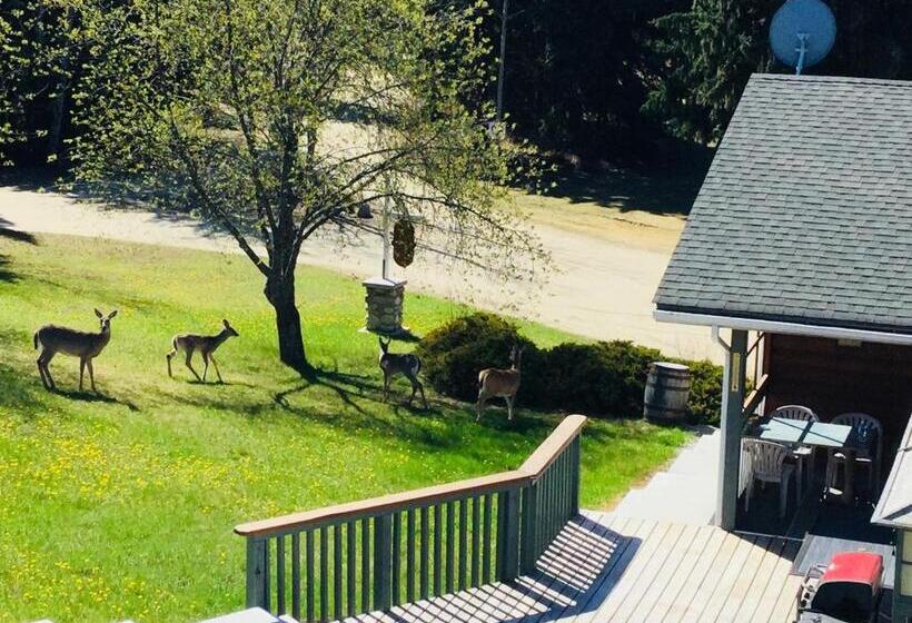 فندق صغير Dream Catcher Inn