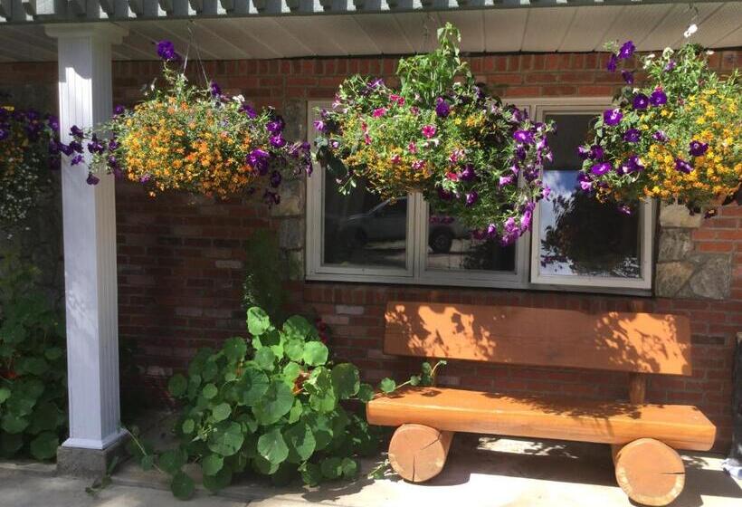 فندق صغير Dream Catcher Inn