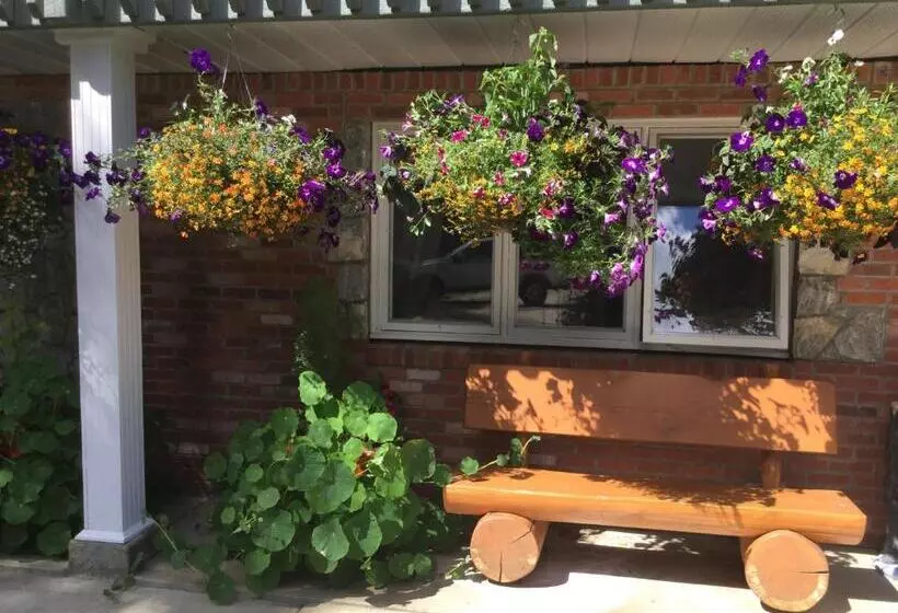 ユースホステル Dream Catcher Inn