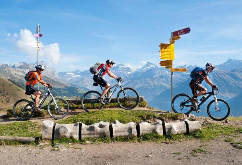 Alphotel Biel Kinzig   Access By Cable Car Only!