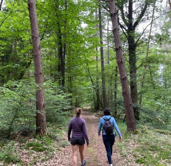 Bed and Breakfast Grange Nature Et Bien être