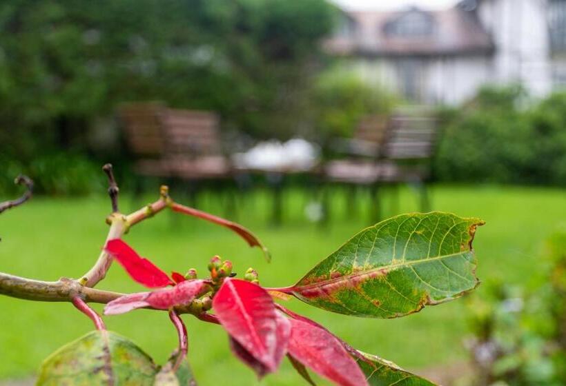Bed and Breakfast Tranquil Garden   Near Nuwaraeliya Town