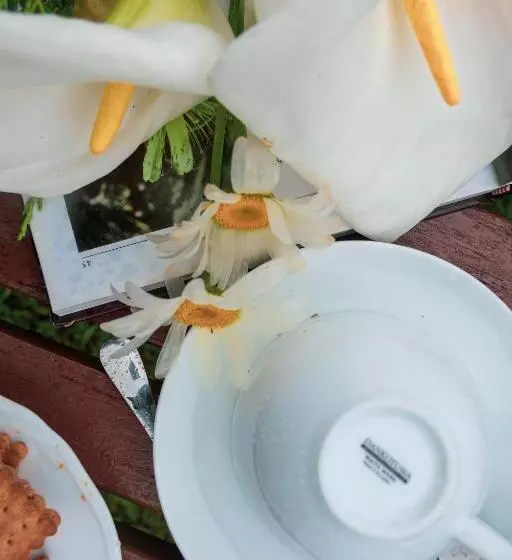 Aamiaismajoitus (B&B) Tranquil Garden   Near Nuwaraeliya Town