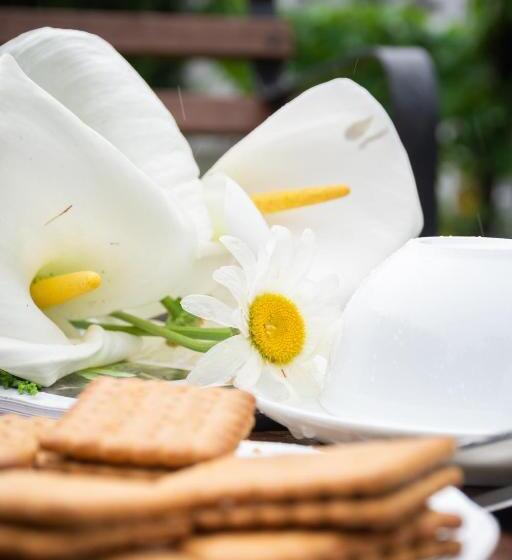 Bed and Breakfast Tranquil Garden   Near Nuwaraeliya Town