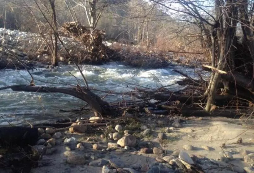 Hotelli Sequoia River Front Cabins