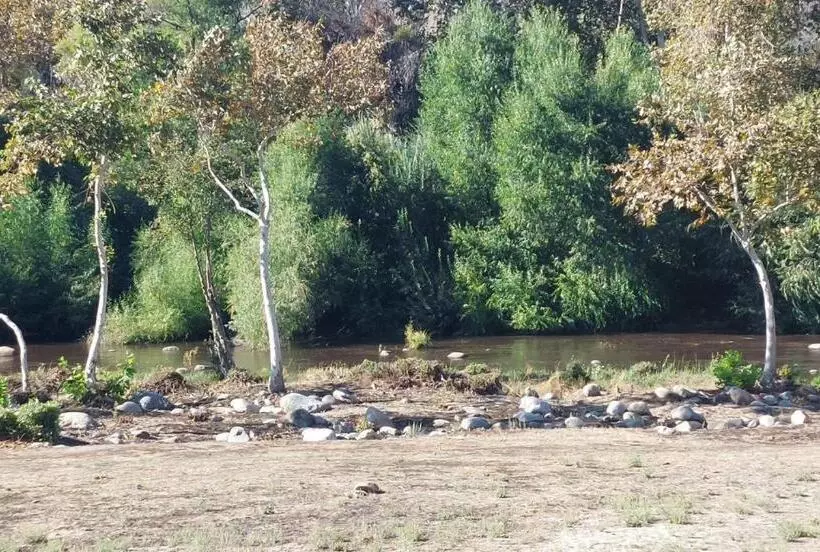 Hotelli Sequoia River Front Cabins