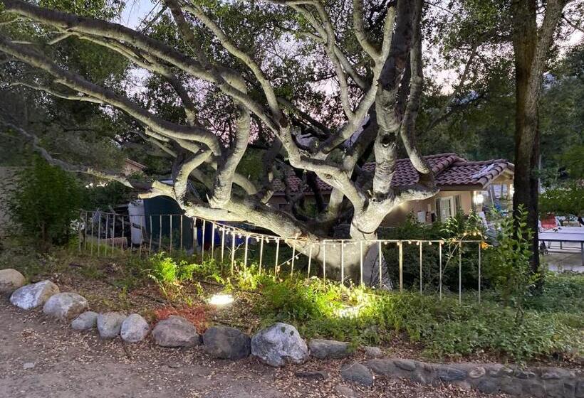 Hotel Sequoia River Front Cabins