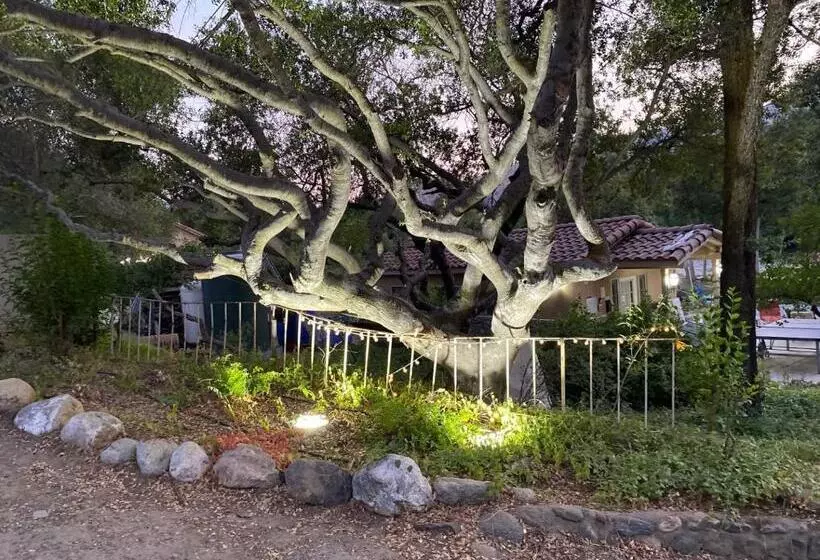 Hotelli Sequoia River Front Cabins