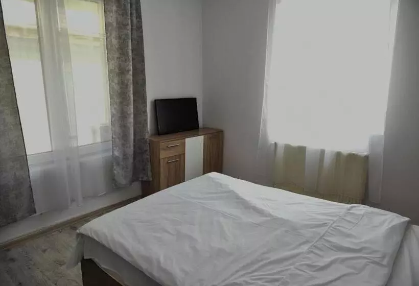 ペンション Apartament S Moise