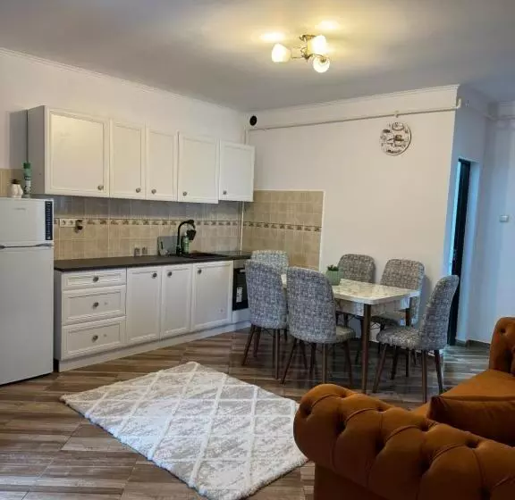 ペンション Apartament S Moise