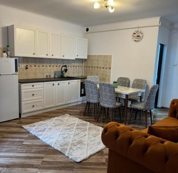 Pensão Apartament S Moise