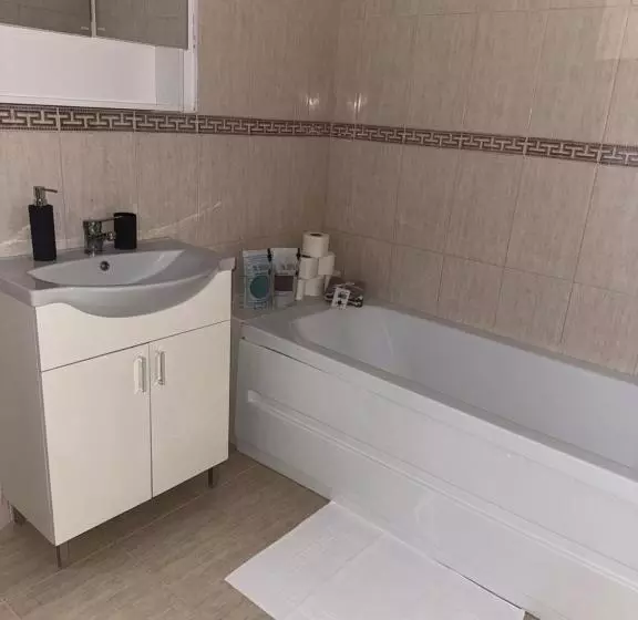 ペンション Apartament S Moise