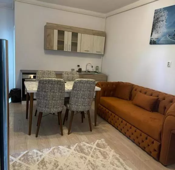 ペンション Apartament S Moise