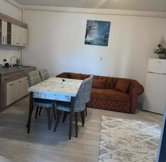 ペンション Apartament S Moise