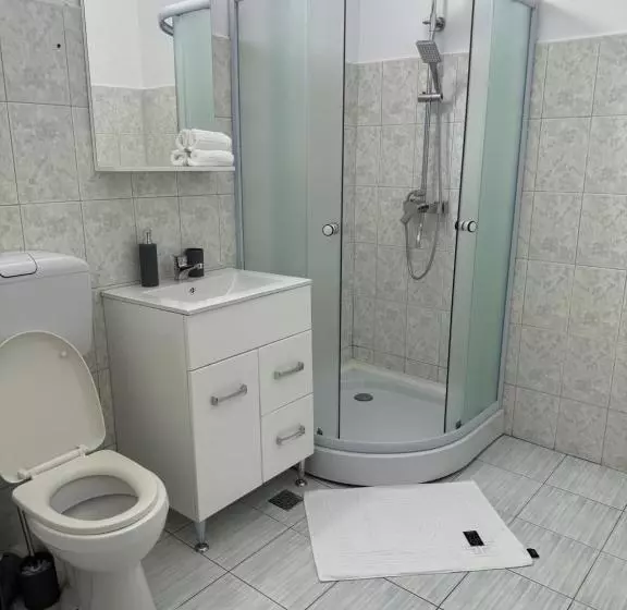 ペンション Apartament S Moise