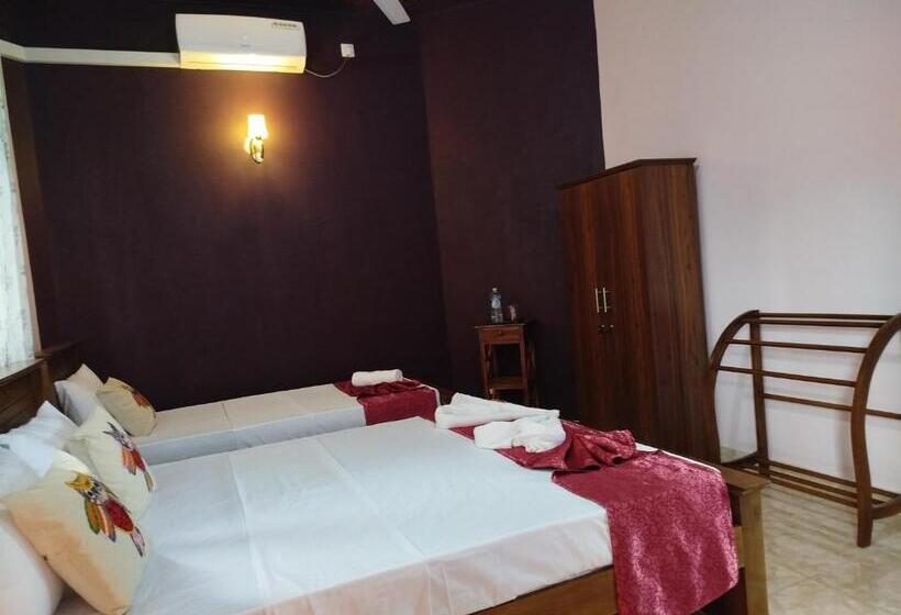 פנסיון Cosy White Palace