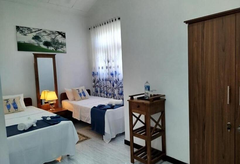 פנסיון Cosy White Palace